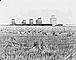 Field of stooked wheat beside six grain elevators, Champion, Alberta, ca. 1930