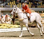 Canada's Jim Elder rides Raffles II in an equestrian event at the 1976 Montreal Olympic games. (CP PHOTO/ COA/RW)