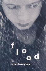 Cover of book, FLOOD