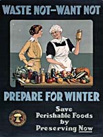 Poster from the First World War era with an illustration of an older woman standing at a table covered with vegetables and jars, encouraging a young woman to preserve foods. The caption reads WASTE NOT - WANT NOT. PREPARE FOR WINTER. SAVE PERISHABLE FOODS BY PRESERVING NOW.