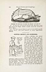 Page 414 du livre de recettes THE HOUSEHOLD GUIDE OR DOMESTIC CYLOPEDIA qui montre comment couper une dinde et faire une recette de poulet à l'étuvée et des boulettes de pâte, avec dessins à l'appui