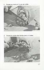 Page 177 of cookbook, LES TECHNIQUES CULINAIRES, with text and photographs showing how to prepare an artichoke